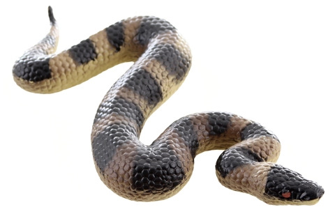 Plastový had – realistická gumová hračka pro děti