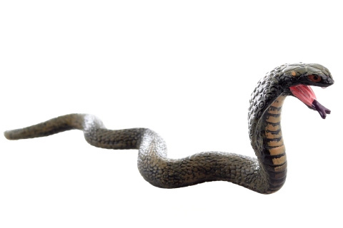 Plastový had – realistická hračka pro děti