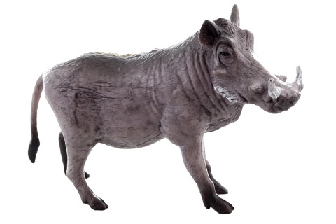 Plastová figurka prase bradavičnaté