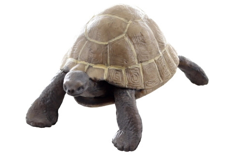 plastová figurka želvy 8 cm