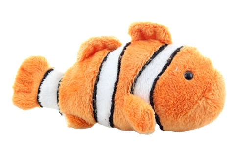 Ryba Klaun očkatý 14 cm