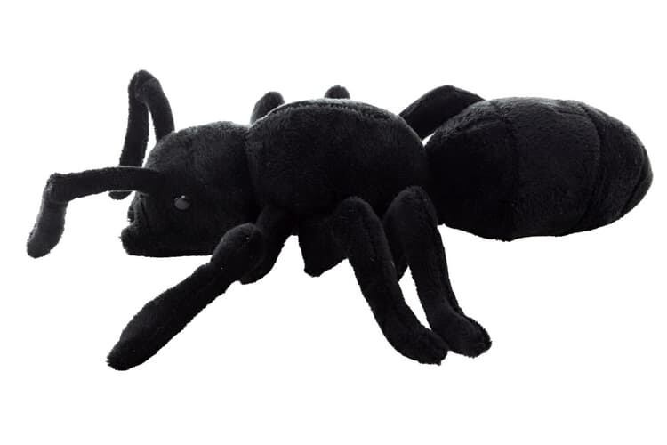 Plyš Mravenec 24cm