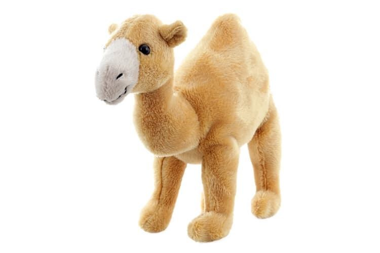 Plyš Dromedár 20 cm