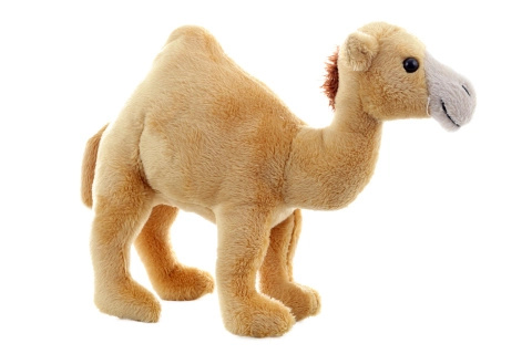 Plyš Dromedár 20 cm