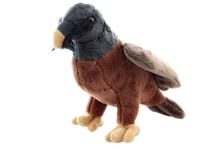 Plyš Orlosup bradatý 25cm
