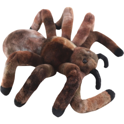 Pavouk sklípkan 30 cm