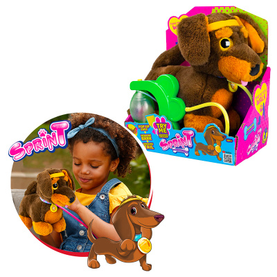 Sprint štěně Jezevčík