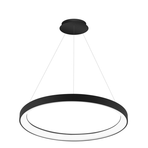 Palnas Závěsné LED svítidlo DITA ø 58 cm, černé Stmívání, řízení: DALI, Dálkový ovladač: Bez dálkového ovladače
