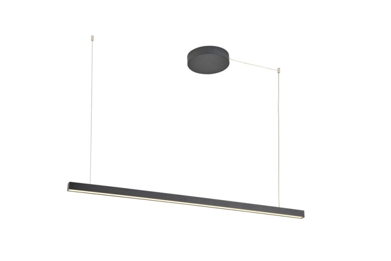 Palnas Závěsné lineární LED svítidlo DARA 2, d.120 cm, 3000-4000K Barva: Černá, Stmívání, řízení: DALI
