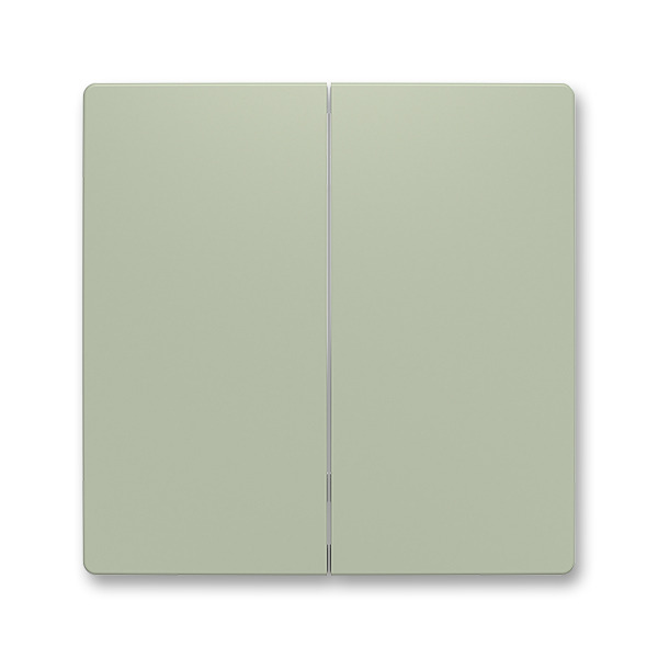 Kryt dělený ABB Zoni 6221T-A01010 243, olivová, pro smart switch