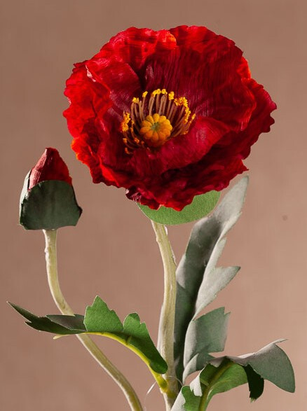 Vlčí mák 69 cm červený F393-R