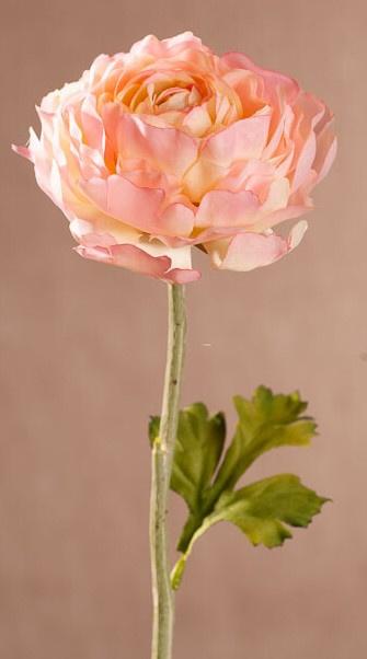 New Ranunkulus (Pryskyřník) 51 cm růžový F409-P