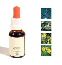 Bachovy kapky - Strach 25 ml