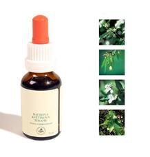 Bachovy kapky - Agresivita 25 ml