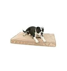 Pelech matrace ortopedická PLATINUM 55x80cm hnědá