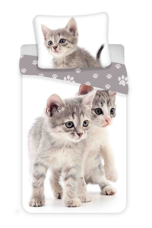 Jerry Fabrics Povlečení fototisk Kitten grey Varianta: Povlečení fototisk Kitten grey 140x200, 70x90 cm