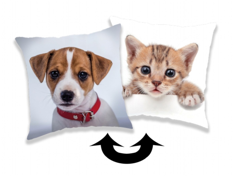 Jerry Fabrics Polštářek s flitry Dog and Kitty 01 40x40 cm