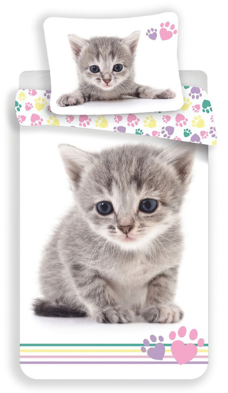 Jerry Fabrics Povlečení fototisk Kitten colour Varianta: Povlečení fototisk Kitten colour 140x200, 70x90 cm