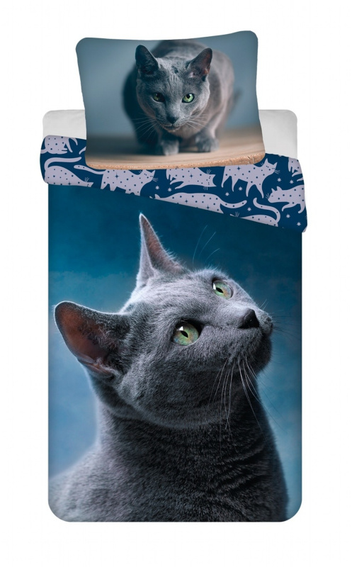 Universal design Povlečení fototisk Dark Cat Varianta: Povlečení fototisk Dark Cat 140x200, 70x90 cm