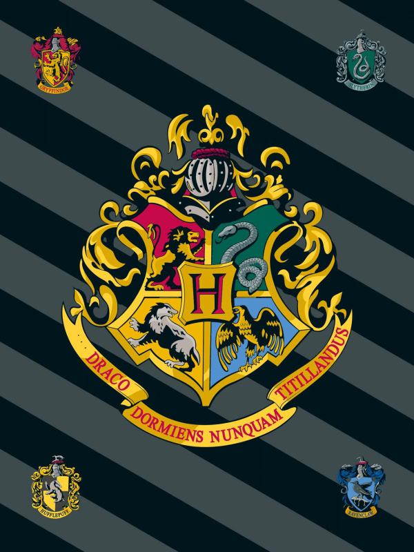 Jerry Fabrics Dětská fleecová deka Harry Potter 067 Varianta: Dětská fleecová deka Harry Potter 067 100x150 cm