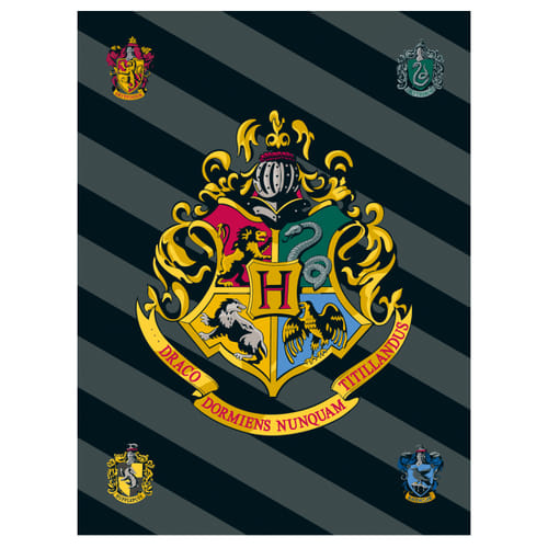 Jerry Fabrics Dětská fleecová deka Harry Potter 067 Varianta: Dětská fleecová deka Harry Potter 067 100x150 cm
