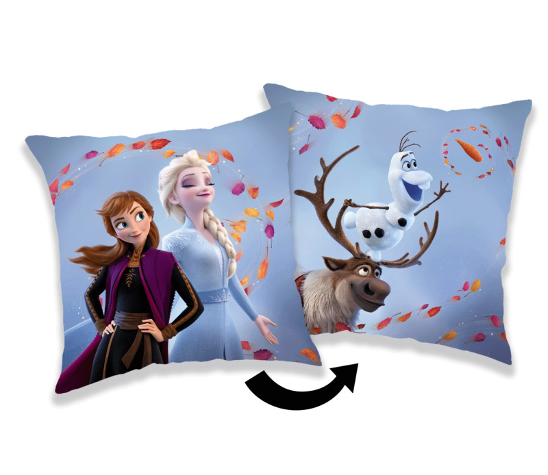 Jerry Fabrics Polštářek Frozen 2 Wind 02 Varianta: Polštářek Frozen 2 Wind 02 35x35 cm