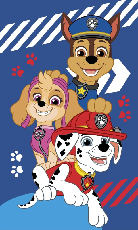 Jerry Fabrics Dětský ručník Paw Patrol Blue Varianta: Dětský ručník Paw Patrol Blue 30x50 cm