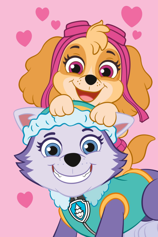 Jerry Fabrics Dětská fleecová deka Paw Patrol PP518 Varianta: Dětská fleecová deka Paw Patrol PP518 100x150 cm