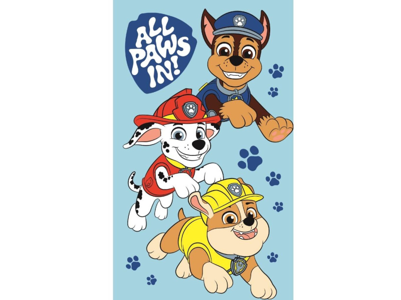 Jerry Fabrics Dětský ručník Paw Patrol Boys 30x50 cm