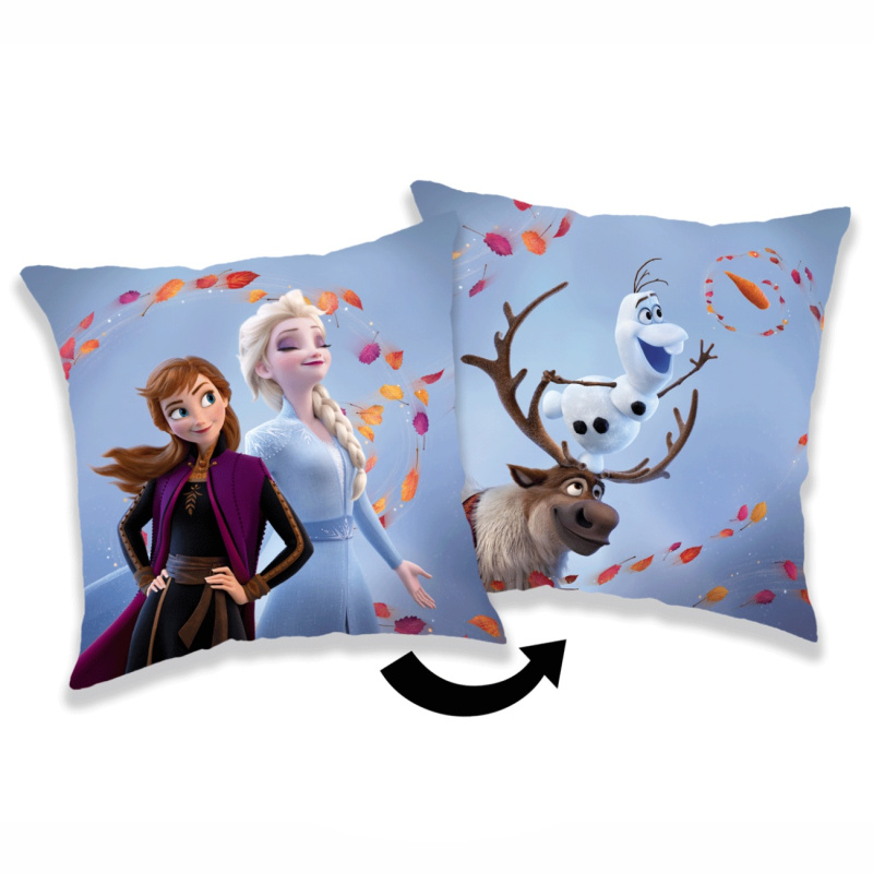 Jerry Fabrics Polštářek Frozen 2 Wind 02 Varianta: Polštářek Frozen 2 Wind 02 40x40 cm