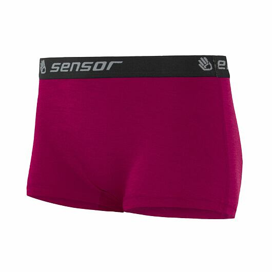 Dámské nohavičkové termo kalhotky SENSOR Merino active fialová Barva: fialová, Velikost: XL