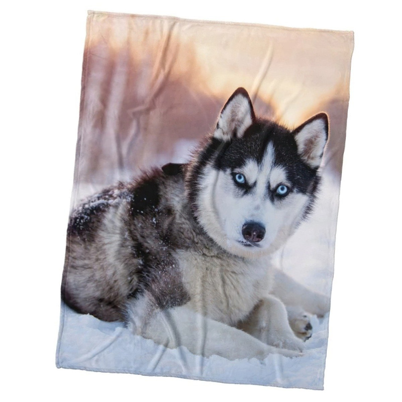 TipTrade s.r.o. Mikroplyšová deka Pes Sibiřský Husky 150x200 cm