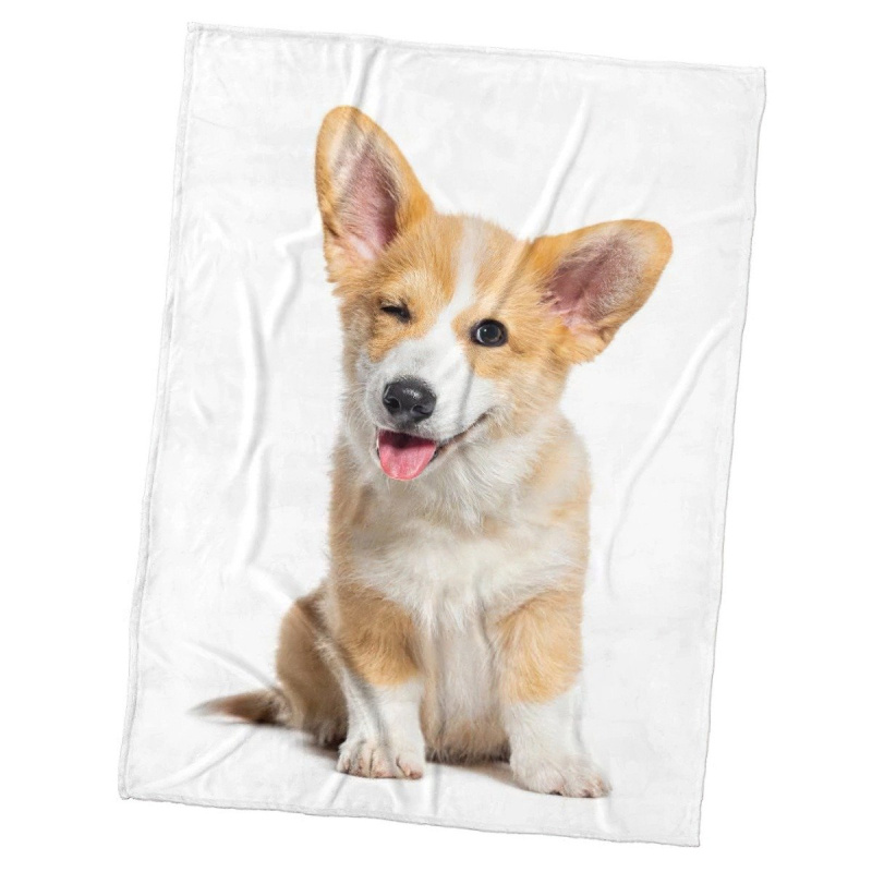 TipTrade s.r.o. Mikroplyšová deka Psí Veličenstvo 150x200 cm