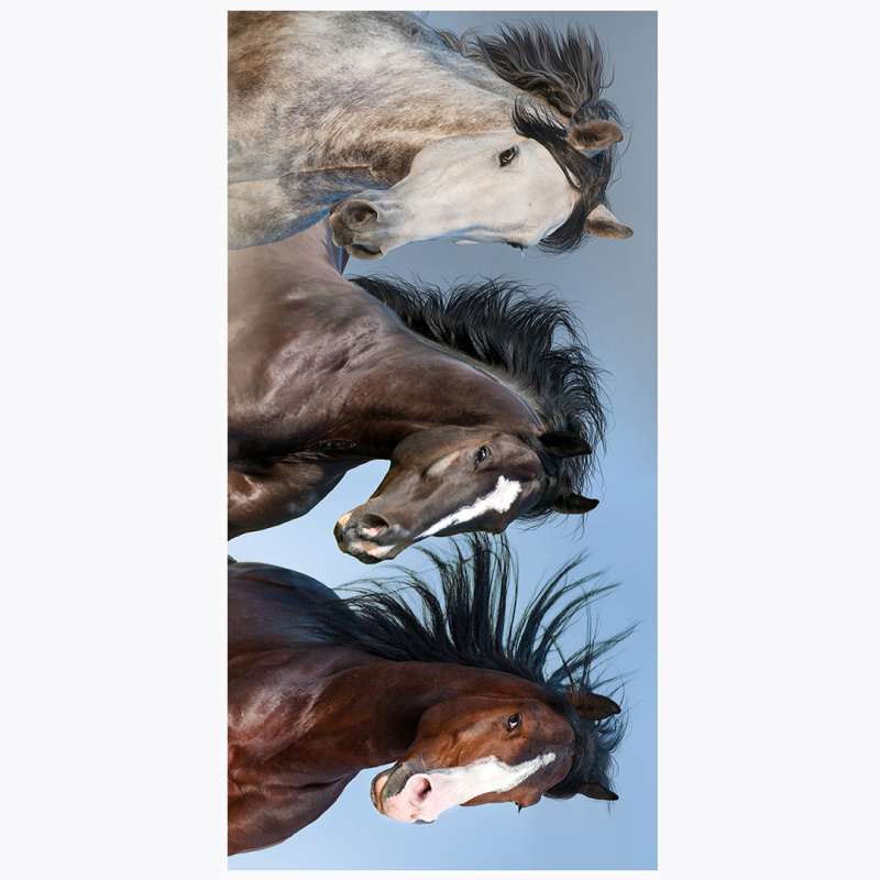 TipTrade s.r.o. Froté osuška Divocí Koně v Přírodě