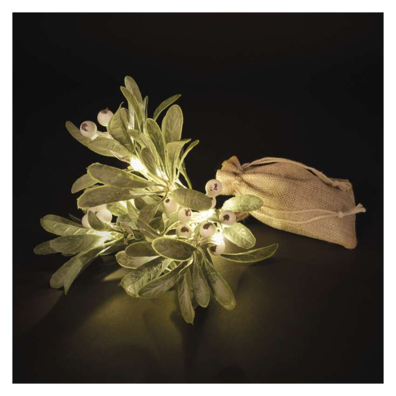 EMOS DCTW29 14LED MISTLETOE BRANCH 2AA WW