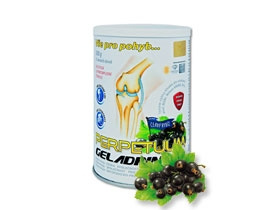 GELADRINK Perpetuum nápoj černý rybíz 500 g