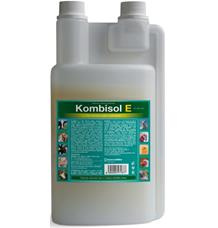 Kombisol E a.u.v. sol  1000ml