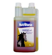 Nutri Horse Amino sol.  1000ml