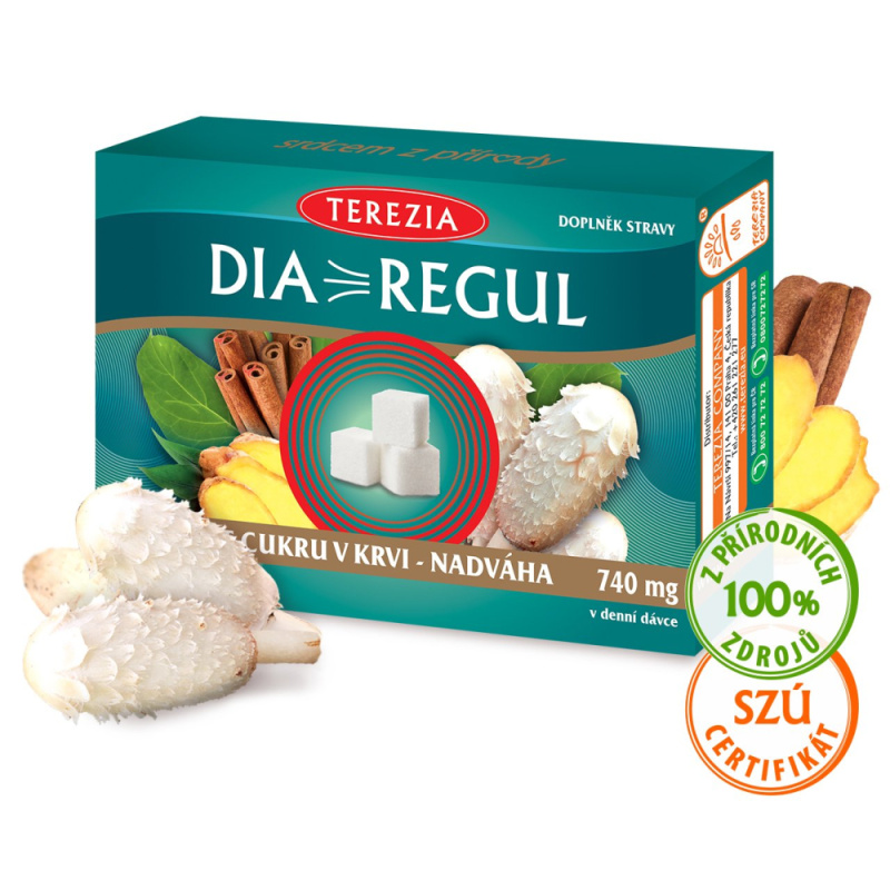 TEREZIA Diaregul 60 kapslí