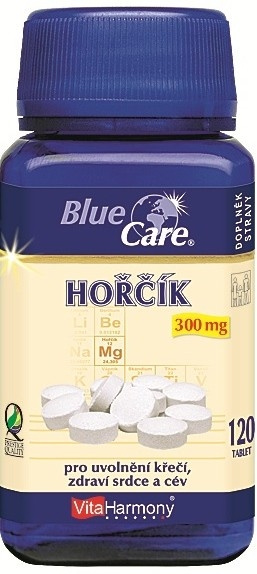 VITAHARMONY Hořčík 300 mg 120 tablet