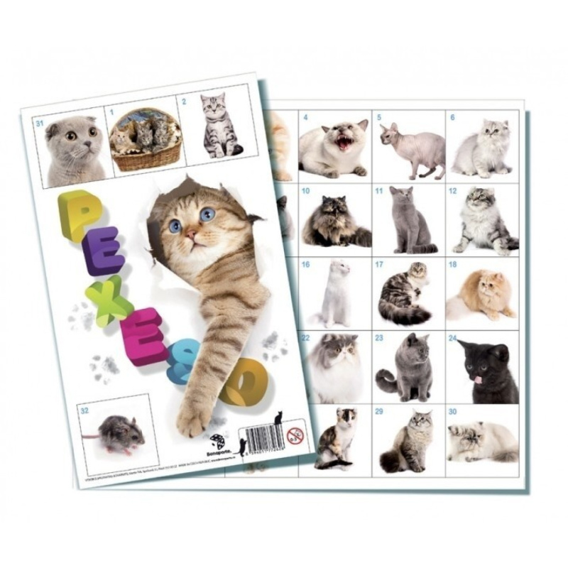 Pexeso Kočky společenská hra 32 obrázkových dvojic