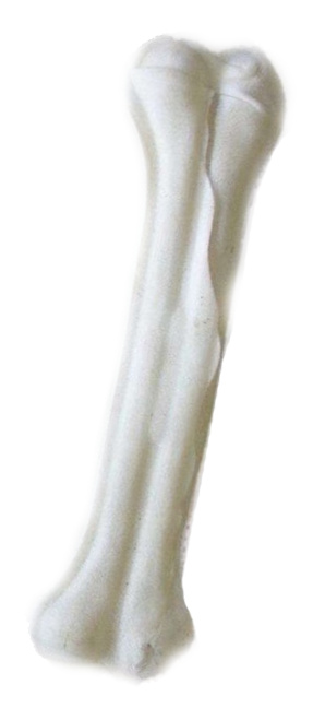 Pamlsek Kost Bílá -  10cm