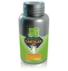 Cartilan CBD+ Altervet 40tbl