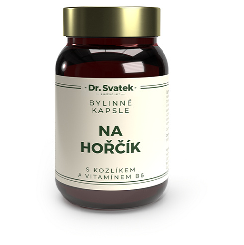 DR.SVATEK Kapsle na hořčík s B6 60 kusů