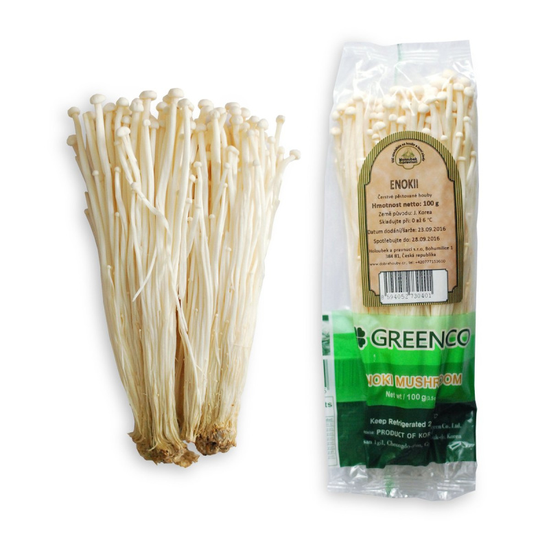 Enoki, vanička