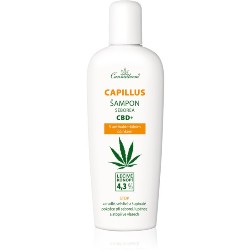 Cannaderm Capillus seborea šampon CBD+, 150ml