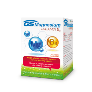 GS Magnesium  vitamin B6 (100tbl/kra)