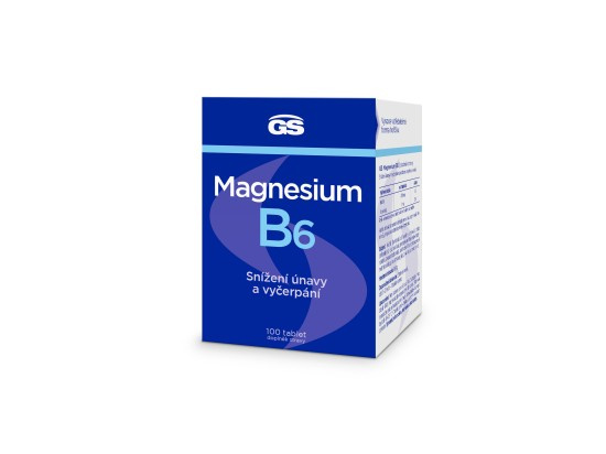 GS Magnesium  vitamin B6 (100tbl/kra)