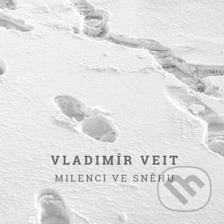 Milenci ve sněhu - Vladimír Veit