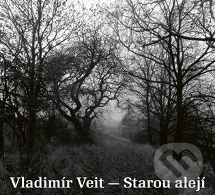 Starou alejí - Vladimír Veit